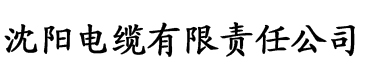 精品无码午夜一区二区三区在线电缆厂logo